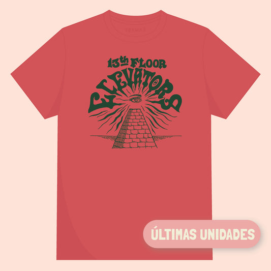 13TH FLOOR ELEVATORS / Eye of providence