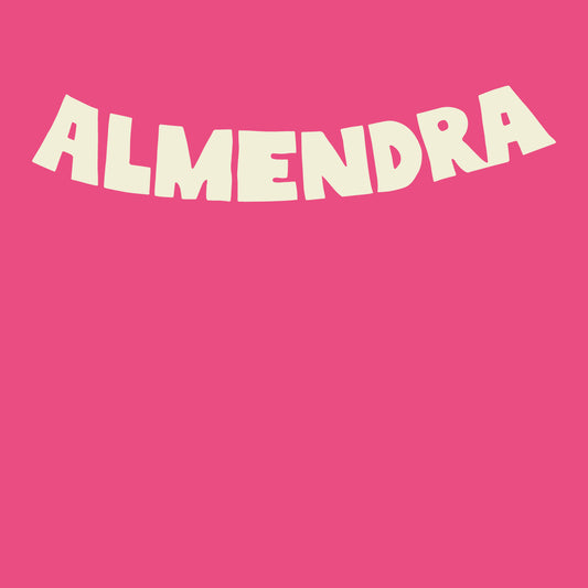 ALMENDRA / La remera de la tapa