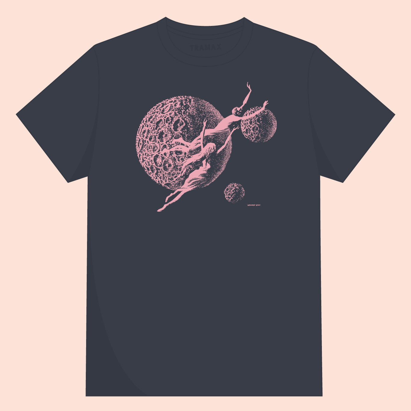 HANNES BOK / Voice in the void