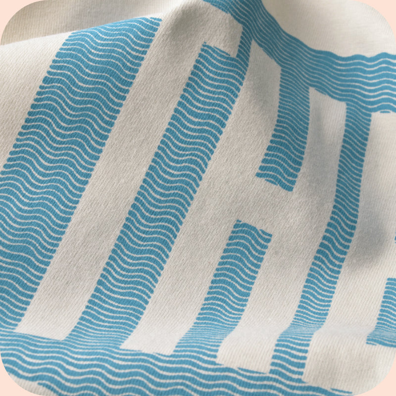 Detalle de la camiseta de los Beach Boys