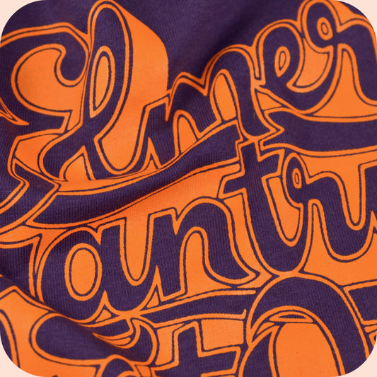 ELMER GANTRY’S VELVET OPERA / 1968 Band logo
