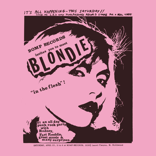 BLONDIE / In the flesh