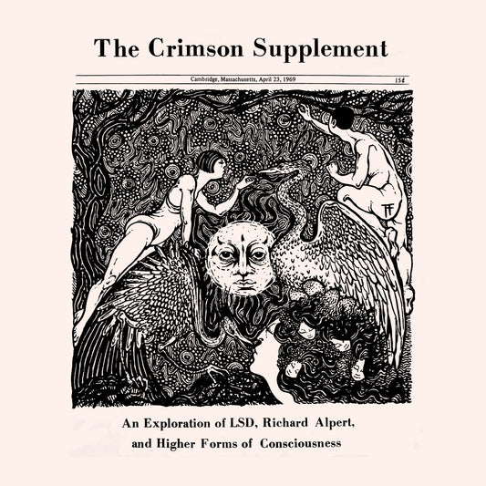 CRIMSON SUPPLEMENT / An exploration of LSD