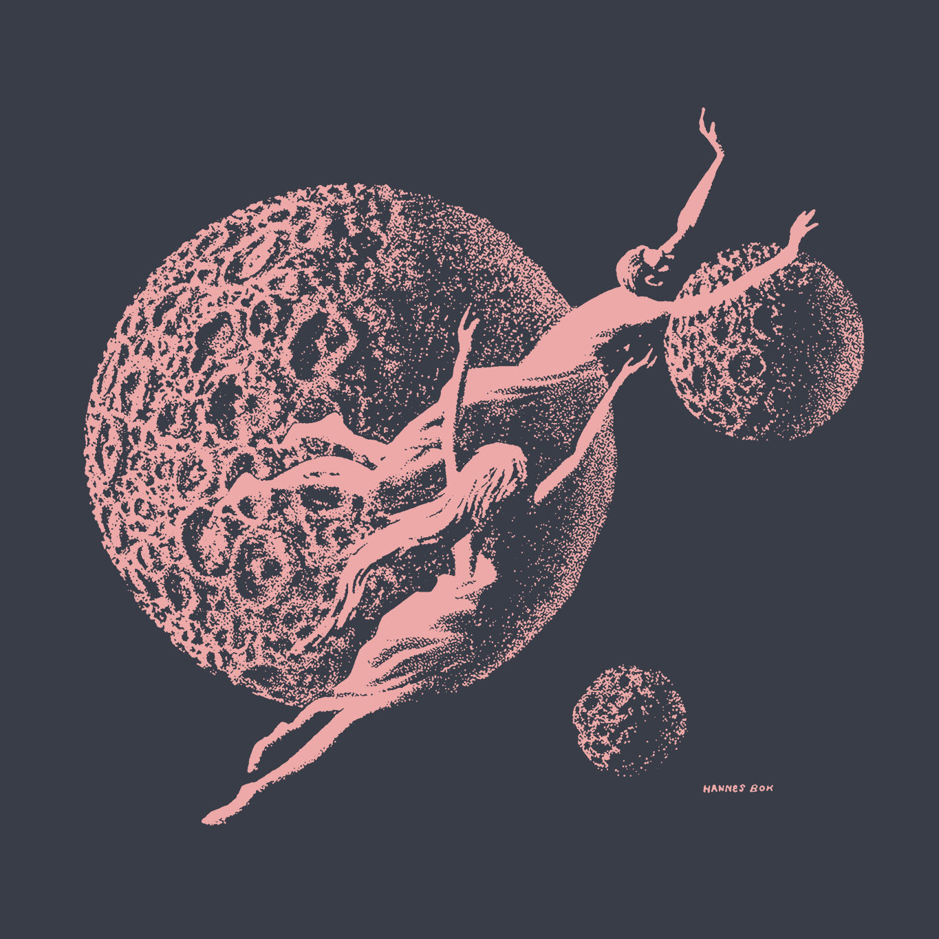 HANNES BOK / Voice in the void