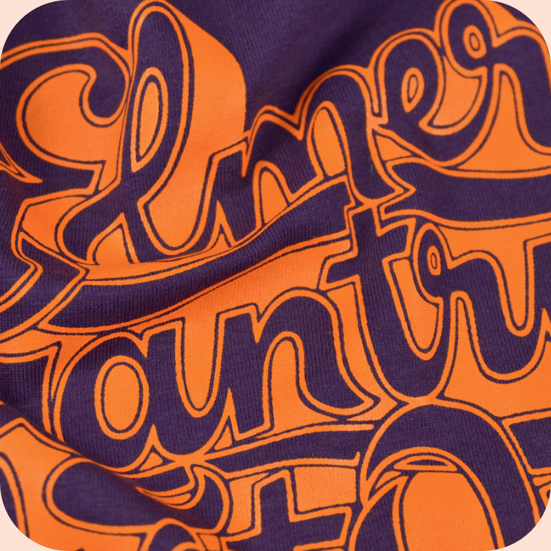 ELMER GANTRY’S VELVET OPERA / 1968 Band logo